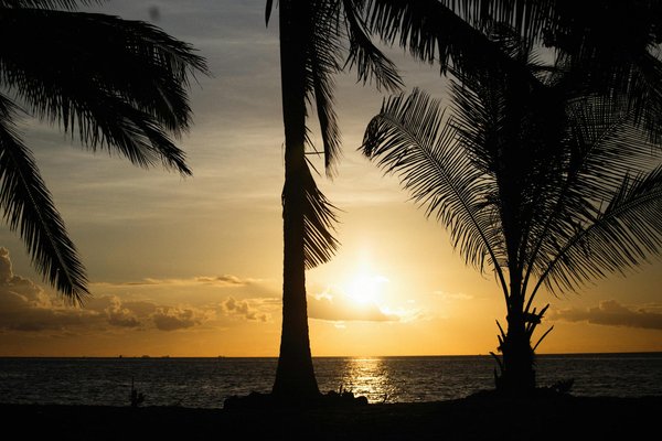 Wat zijn de beste tips voor het organiseren van een familievakantie in Nederland?